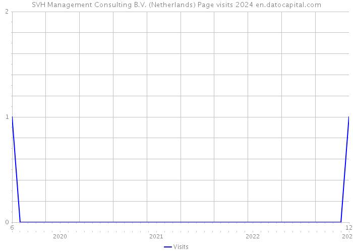 SVH Management Consulting B.V. (Netherlands) Page visits 2024 