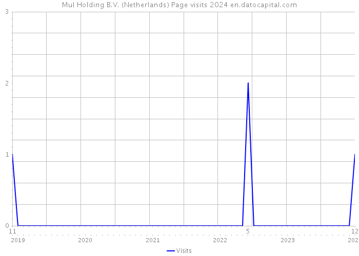 Mul Holding B.V. (Netherlands) Page visits 2024 