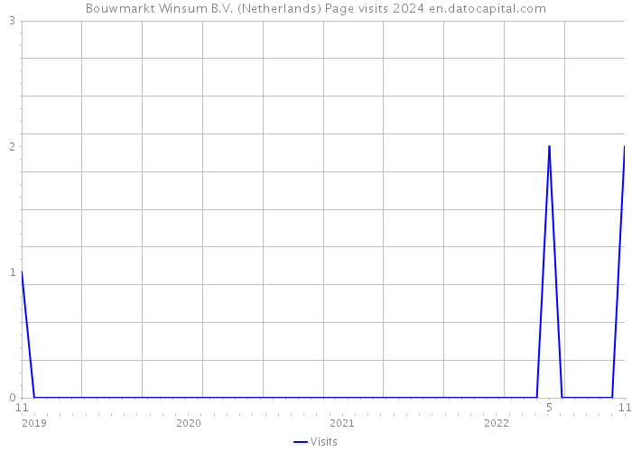 Bouwmarkt Winsum B.V. (Netherlands) Page visits 2024 