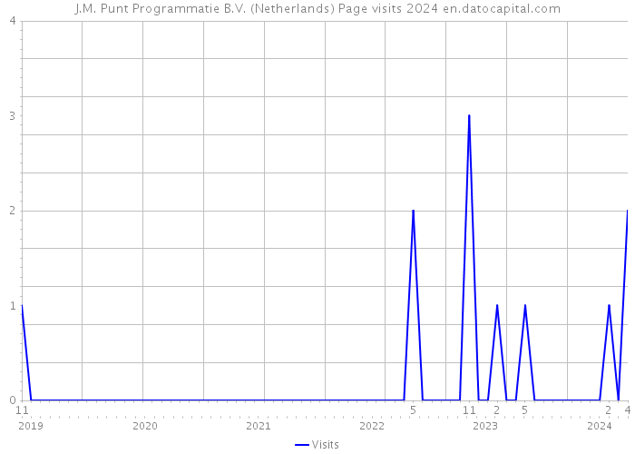 J.M. Punt Programmatie B.V. (Netherlands) Page visits 2024 