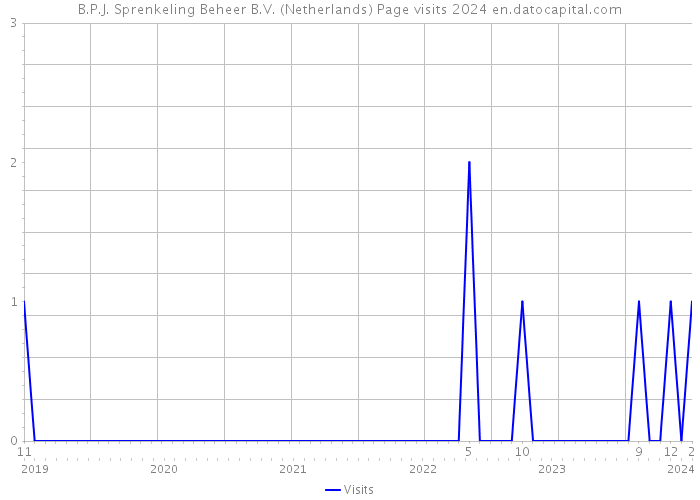 B.P.J. Sprenkeling Beheer B.V. (Netherlands) Page visits 2024 