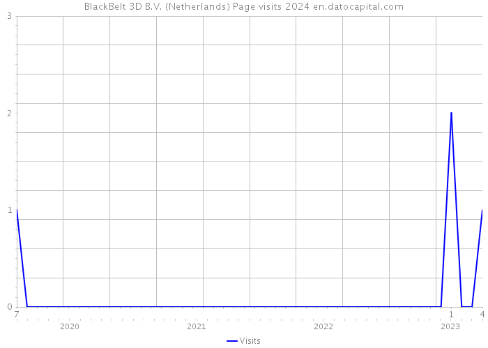 BlackBelt 3D B.V. (Netherlands) Page visits 2024 