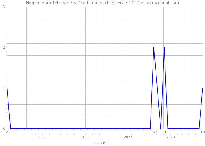 Hogenboom Telecom B.V. (Netherlands) Page visits 2024 