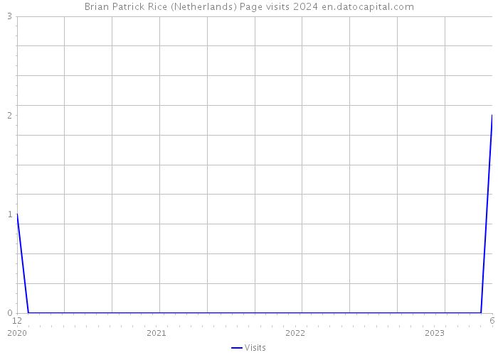 Brian Patrick Rice (Netherlands) Page visits 2024 
