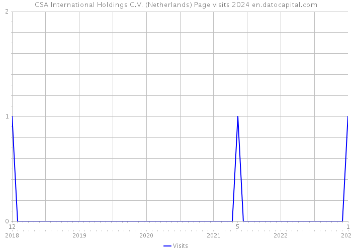 CSA International Holdings C.V. (Netherlands) Page visits 2024 