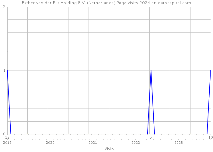 Esther van der Bilt Holding B.V. (Netherlands) Page visits 2024 