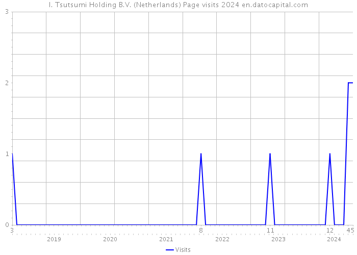 I. Tsutsumi Holding B.V. (Netherlands) Page visits 2024 