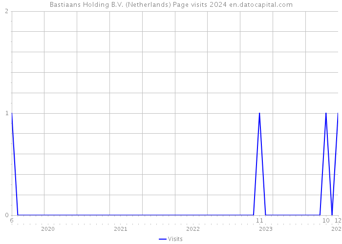 Bastiaans Holding B.V. (Netherlands) Page visits 2024 