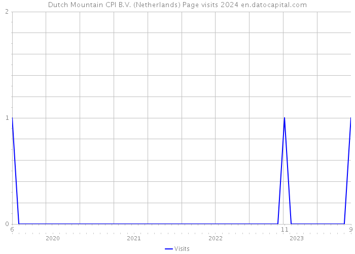 Dutch Mountain CPI B.V. (Netherlands) Page visits 2024 