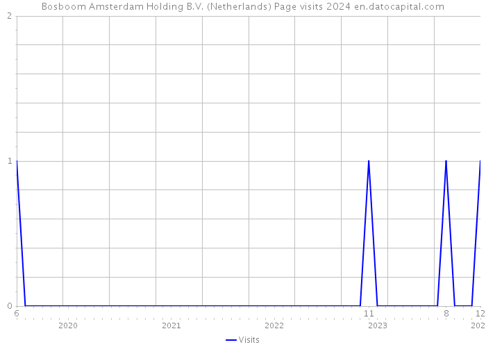 Bosboom Amsterdam Holding B.V. (Netherlands) Page visits 2024 