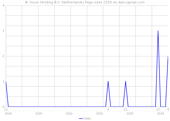 B. Visser Holding B.V. (Netherlands) Page visits 2024 