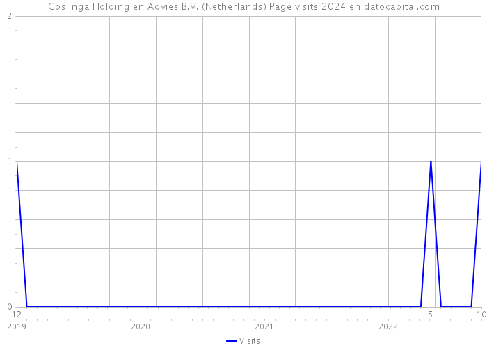 Goslinga Holding en Advies B.V. (Netherlands) Page visits 2024 