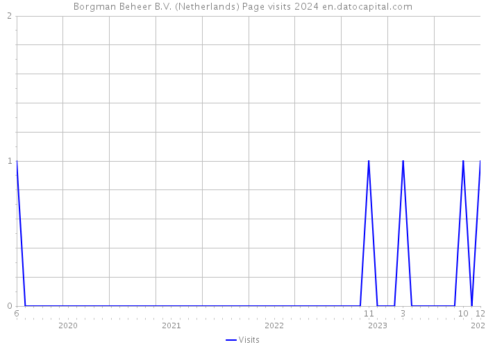 Borgman Beheer B.V. (Netherlands) Page visits 2024 