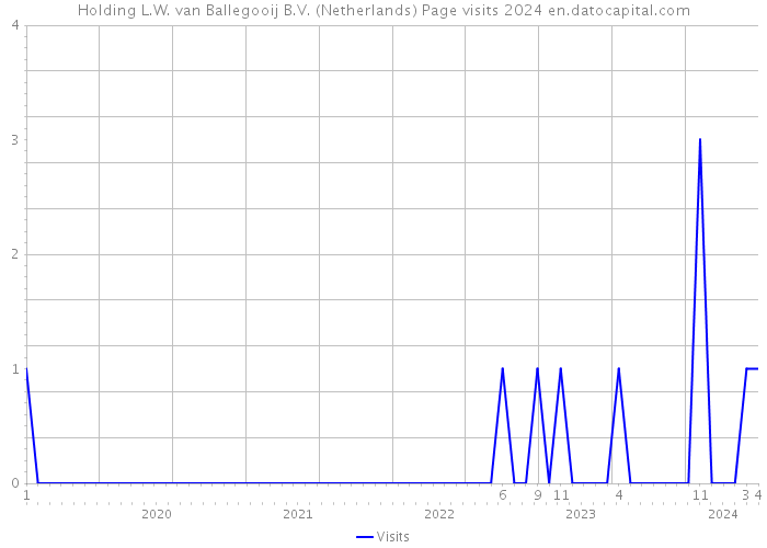 Holding L.W. van Ballegooij B.V. (Netherlands) Page visits 2024 