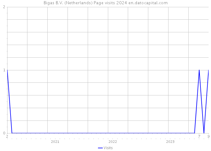 Bigas B.V. (Netherlands) Page visits 2024 