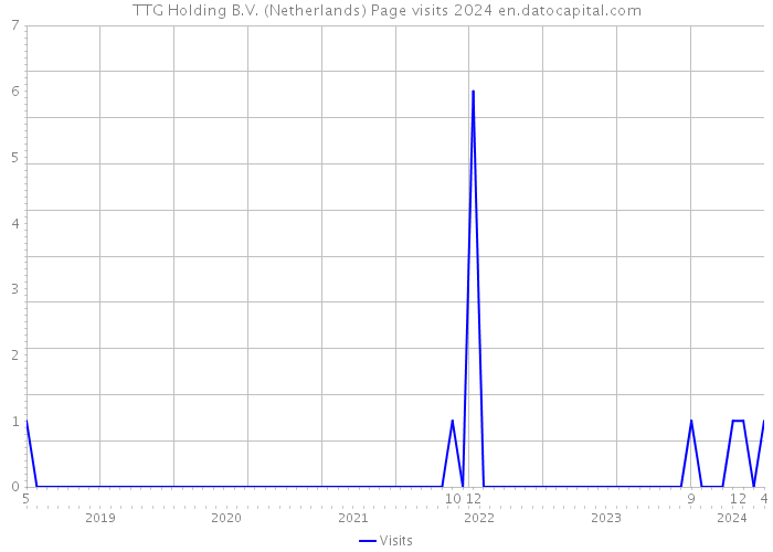TTG Holding B.V. (Netherlands) Page visits 2024 