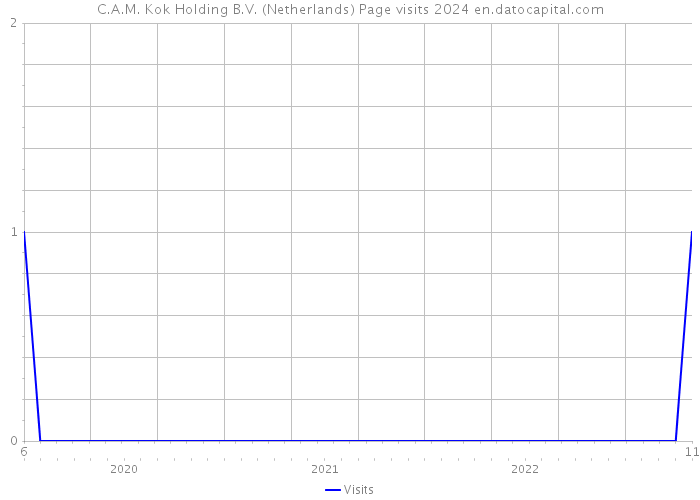 C.A.M. Kok Holding B.V. (Netherlands) Page visits 2024 
