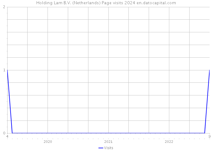 Holding Lam B.V. (Netherlands) Page visits 2024 