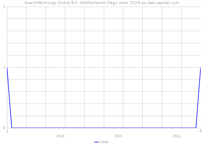 SearchWorkings Global B.V. (Netherlands) Page visits 2024 