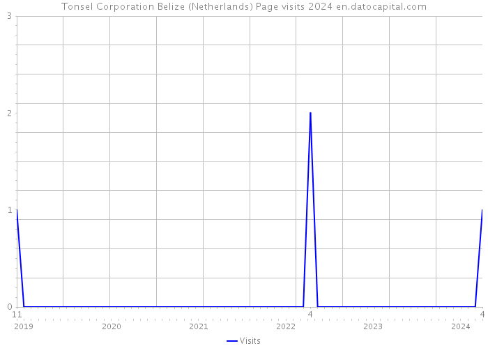 Tonsel Corporation Belize (Netherlands) Page visits 2024 