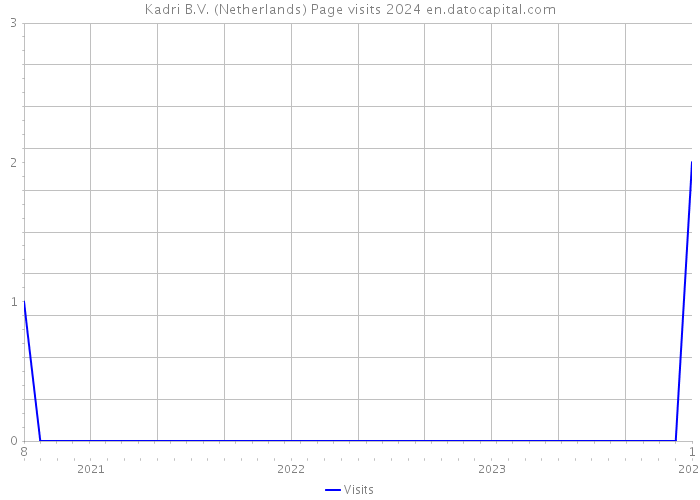 Kadri B.V. (Netherlands) Page visits 2024 
