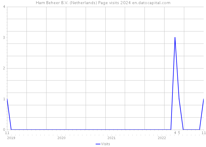Ham Beheer B.V. (Netherlands) Page visits 2024 