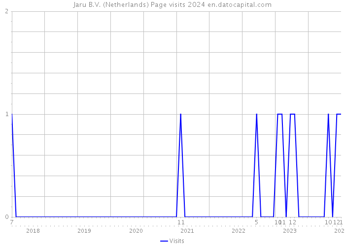 Jaru B.V. (Netherlands) Page visits 2024 