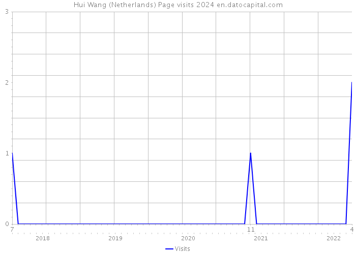 Hui Wang (Netherlands) Page visits 2024 