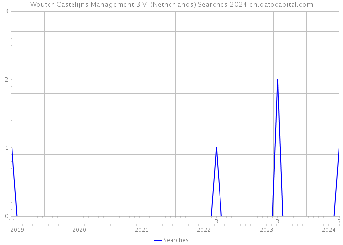 Wouter Castelijns Management B.V. (Netherlands) Searches 2024 