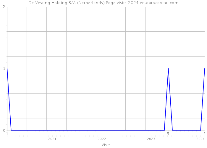 De Vesting Holding B.V. (Netherlands) Page visits 2024 
