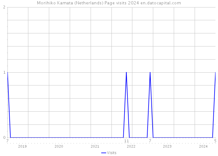 Morihiko Kamata (Netherlands) Page visits 2024 