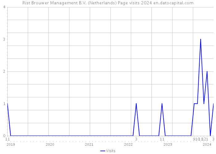 Rist Brouwer Management B.V. (Netherlands) Page visits 2024 