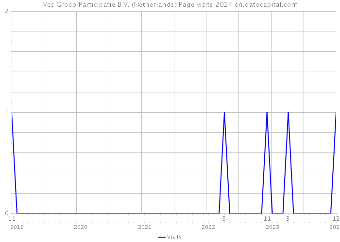 Ves Groep Participatie B.V. (Netherlands) Page visits 2024 