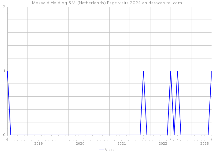 Mokveld Holding B.V. (Netherlands) Page visits 2024 