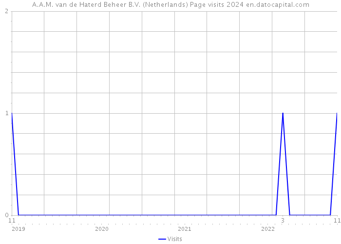 A.A.M. van de Haterd Beheer B.V. (Netherlands) Page visits 2024 
