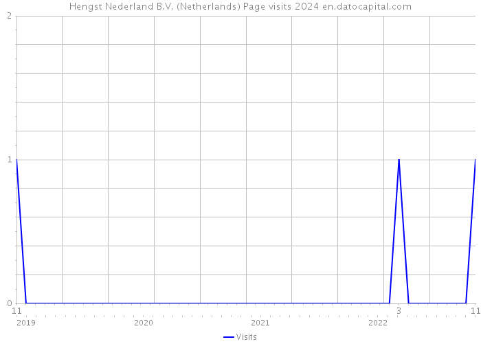 Hengst Nederland B.V. (Netherlands) Page visits 2024 