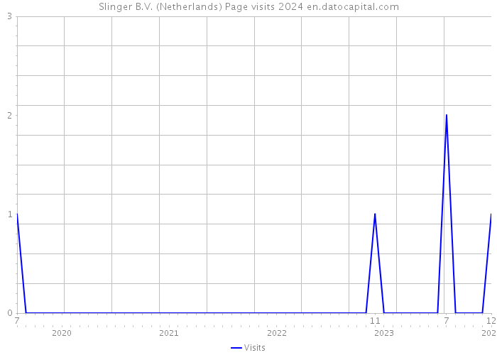 Slinger B.V. (Netherlands) Page visits 2024 