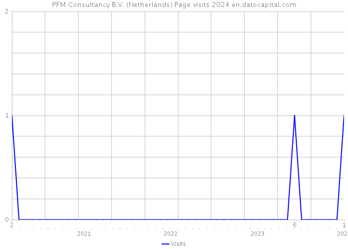 PFM Consultancy B.V. (Netherlands) Page visits 2024 