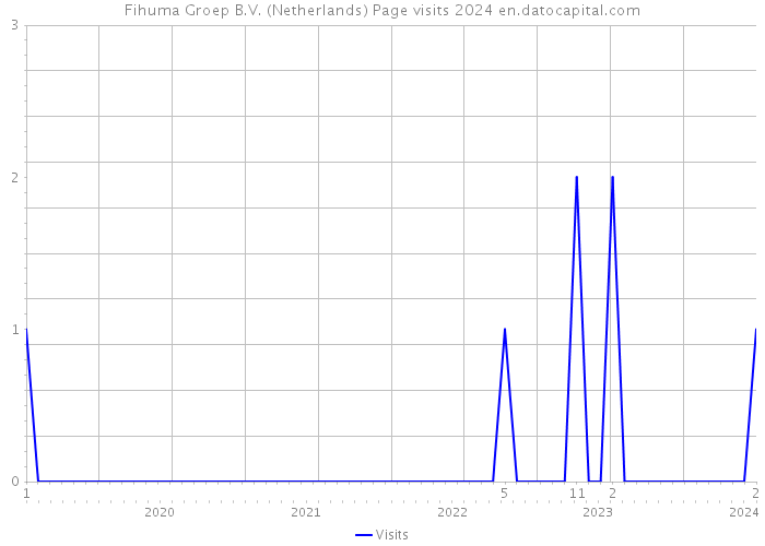 Fihuma Groep B.V. (Netherlands) Page visits 2024 