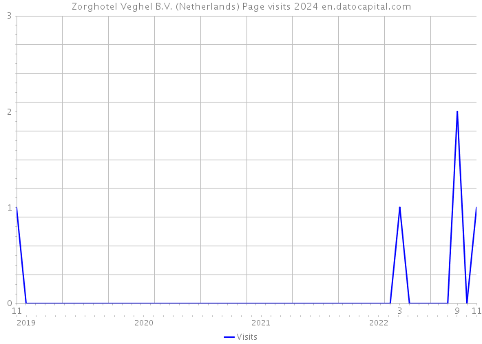 Zorghotel Veghel B.V. (Netherlands) Page visits 2024 