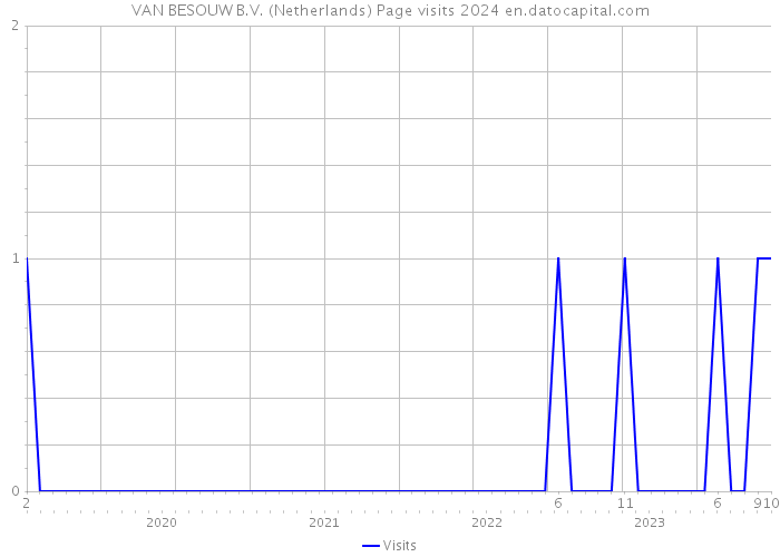 VAN BESOUW B.V. (Netherlands) Page visits 2024 