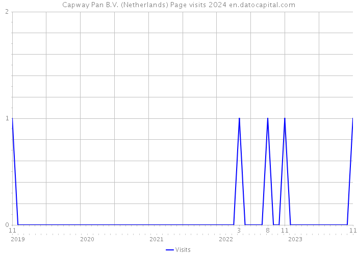 Capway Pan B.V. (Netherlands) Page visits 2024 