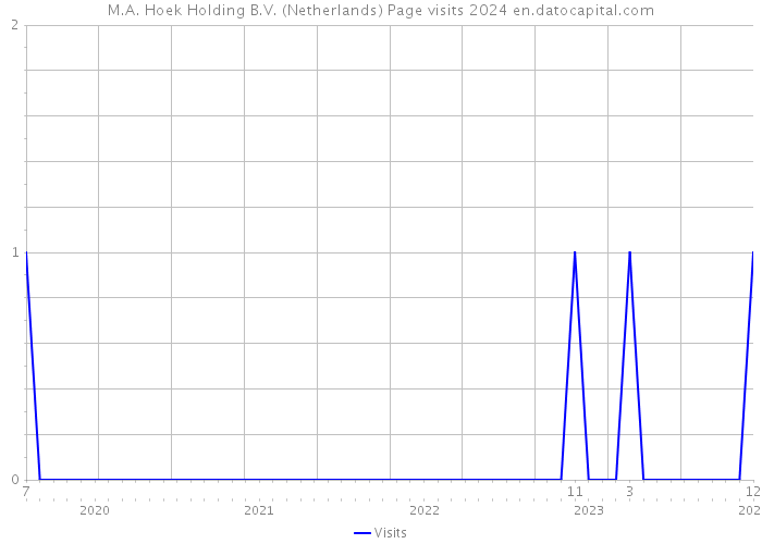 M.A. Hoek Holding B.V. (Netherlands) Page visits 2024 