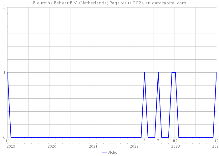 Bleumink Beheer B.V. (Netherlands) Page visits 2024 