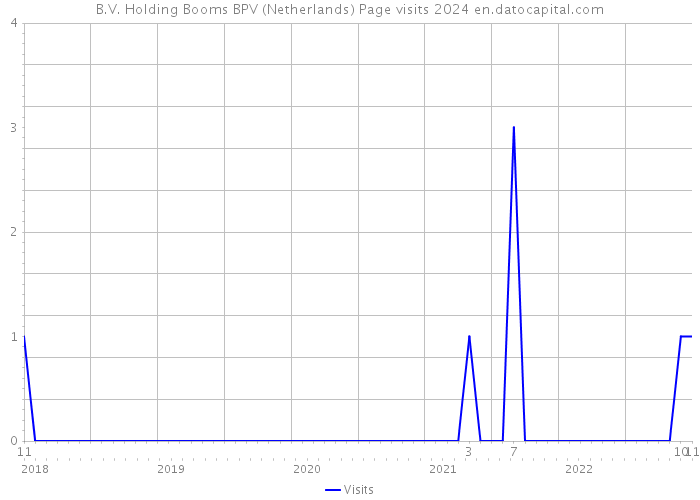 B.V. Holding Booms BPV (Netherlands) Page visits 2024 