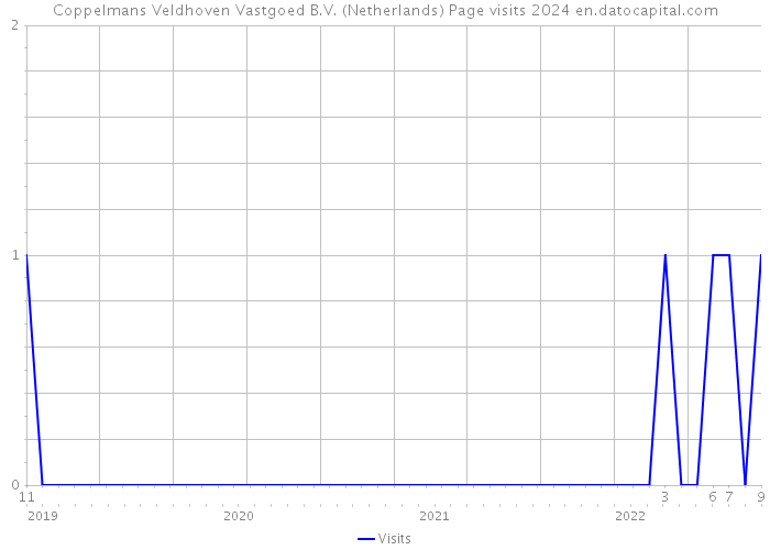 Coppelmans Veldhoven Vastgoed B.V. (Netherlands) Page visits 2024 