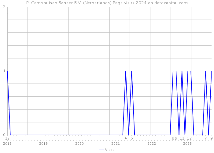 P. Camphuisen Beheer B.V. (Netherlands) Page visits 2024 