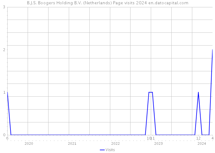 B.J.S. Boogers Holding B.V. (Netherlands) Page visits 2024 