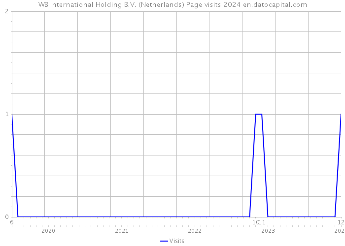 WB International Holding B.V. (Netherlands) Page visits 2024 