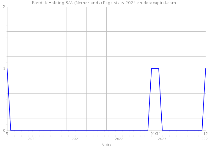 Rietdijk Holding B.V. (Netherlands) Page visits 2024 